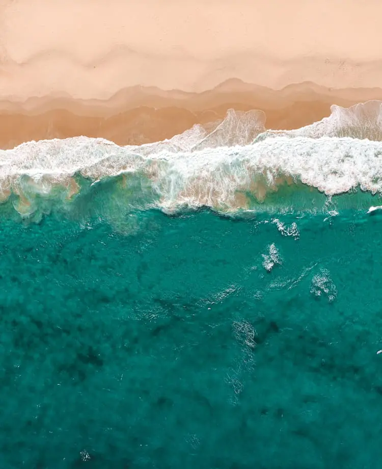 5人のダイバーが泳いでいる様子