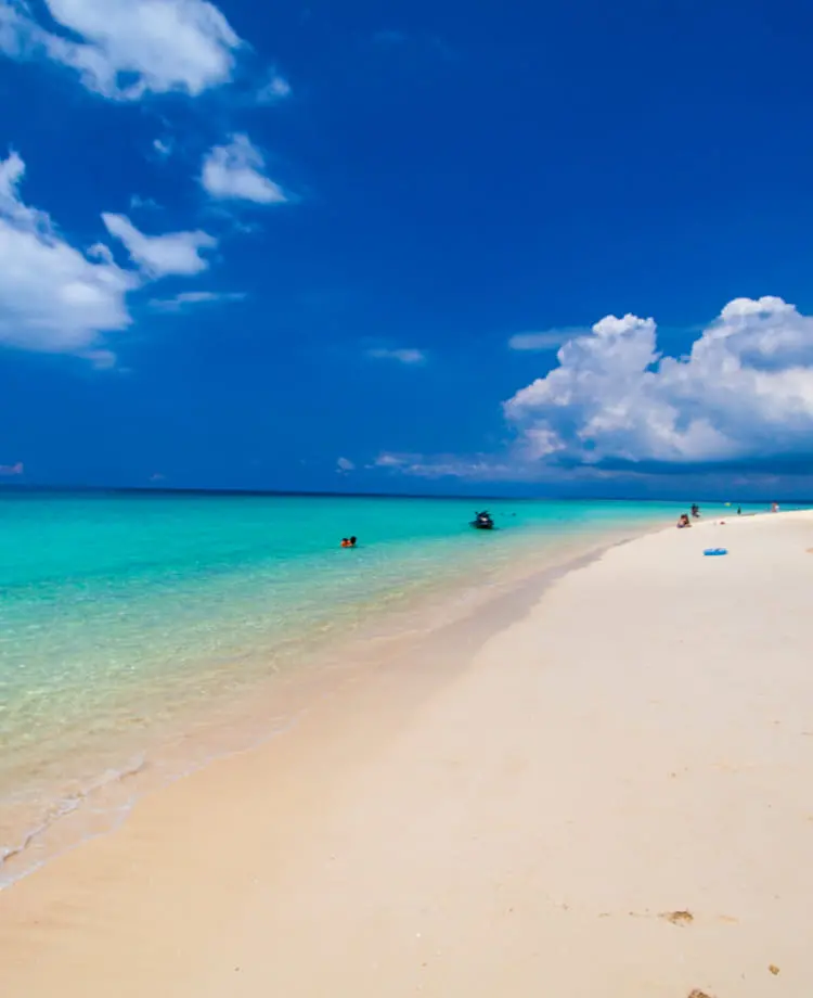 5人のダイバーが泳いでいる様子