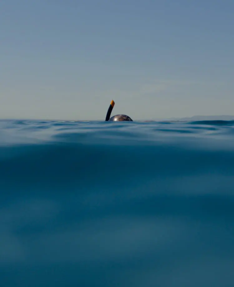 ダイバーが海面に浮上している様子