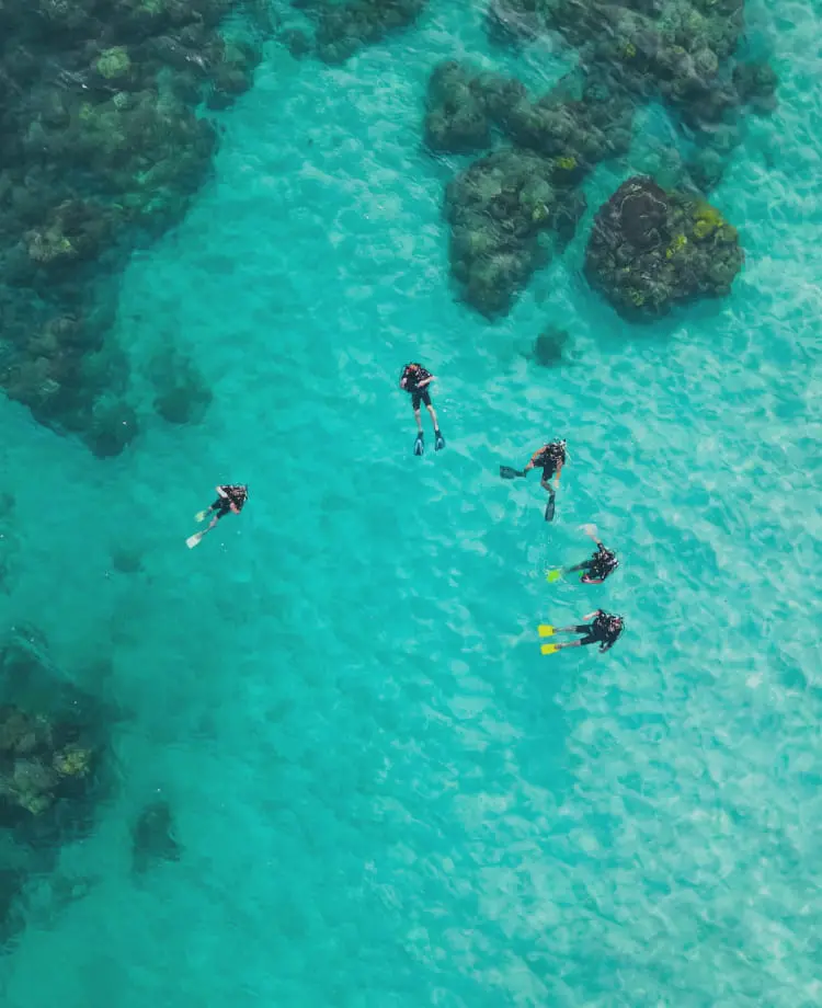 5人のダイバーが泳いでいる様子